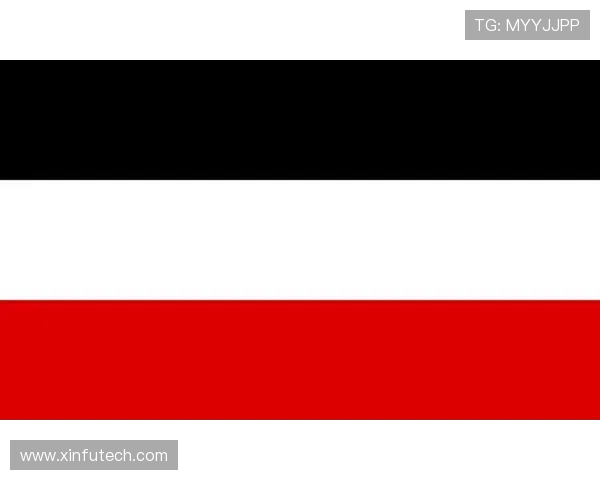 德甲球队旗帜设计理念及历史演变解析