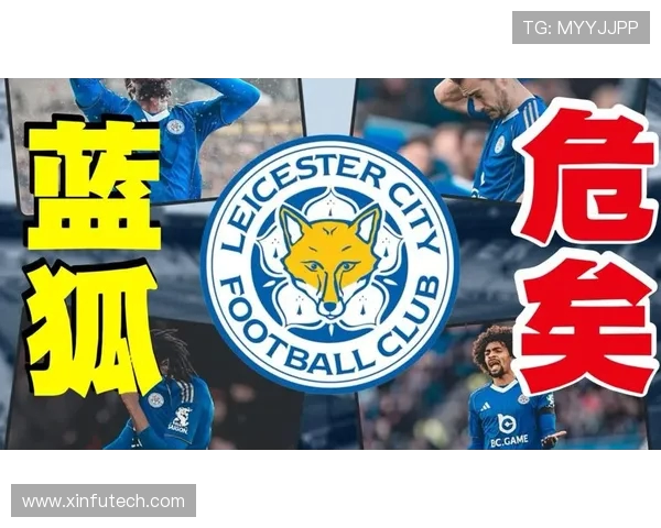 英超联赛中曾降级至英冠的球队及复兴路径分析 英超联赛中曾降级至英冠的球队及复兴路径分析